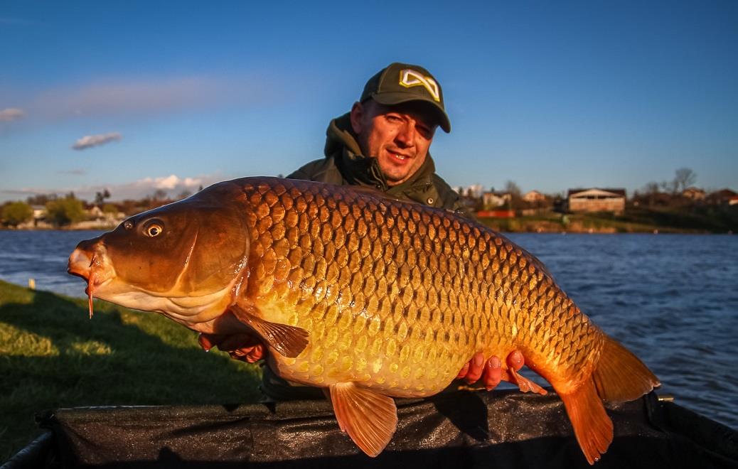FOTO/VIDEO Cupa Primaverii, editia 2015. Urmareste desfasurarea primului concurs de mare importanta al anului.